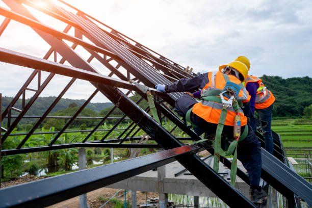 Best Flat Roof Repair Services  in Long Grove, IL