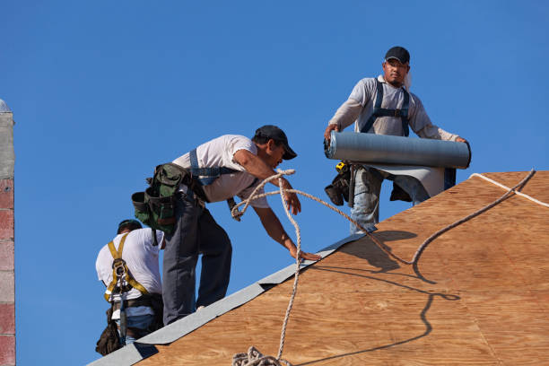 Best Commercial Roofing Services  in Long Grove, IL