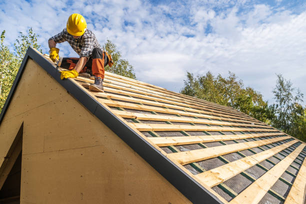 Roof Gutter Cleaning in Long Grove, IL
